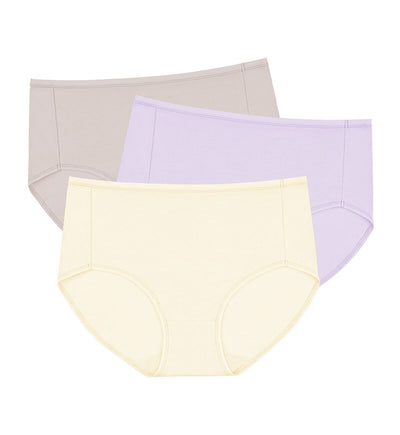 sloggi OOH LA LA กางเกงชั้นใน รูปแบบแม็กซี่ แพ็ก 3 ตัว - Multiple Colours 2